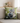 Coussin Chat Campagne