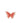 Plat Butterfly