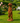 Sir Suricate en Fonte