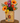 Vase Valise