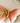 Plat Butterfly