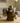 Chimpanzé Radio